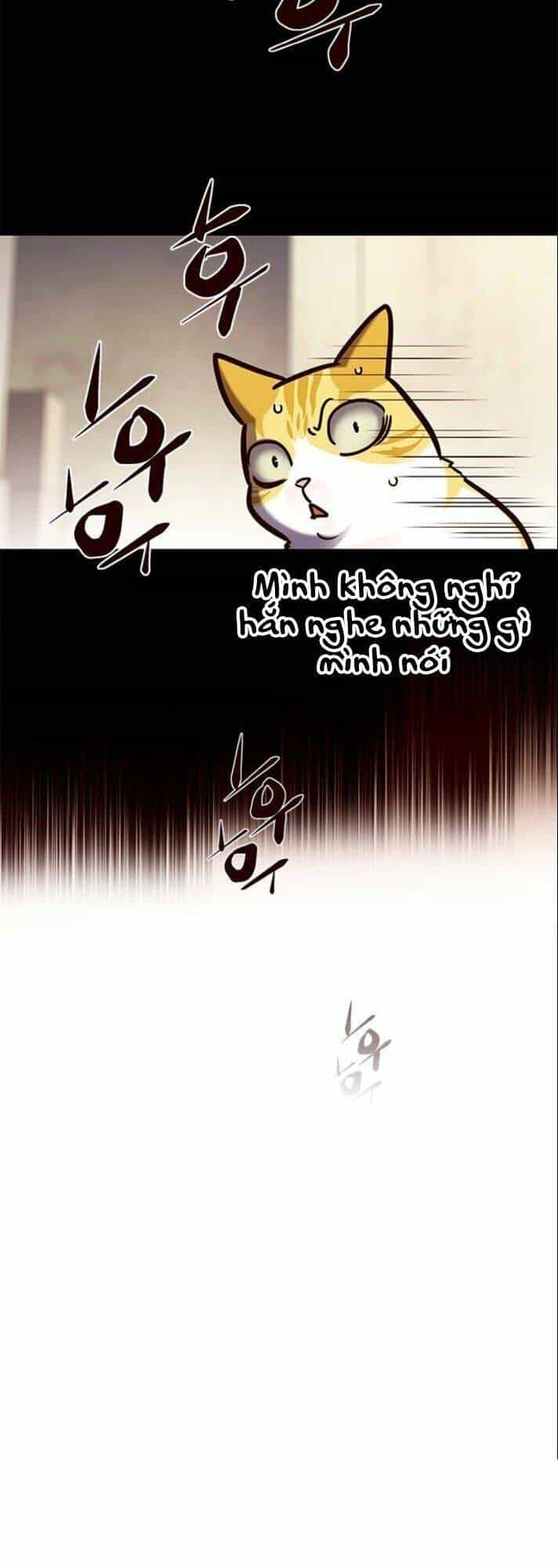 Hoá Thân Thành Mèo - Chương 142 - ảnh 13