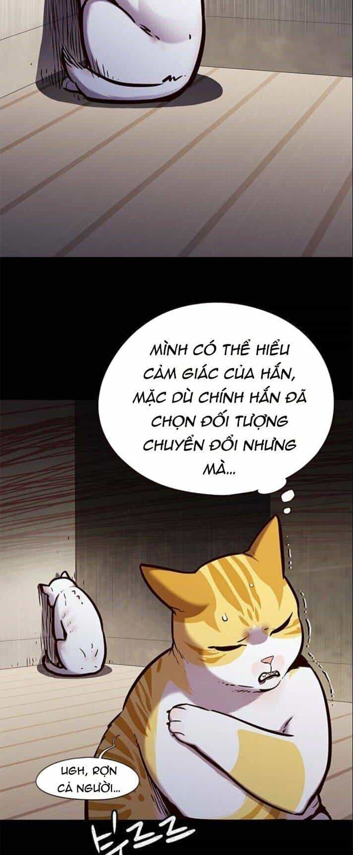 Hoá Thân Thành Mèo - Chương 142 - ảnh 4