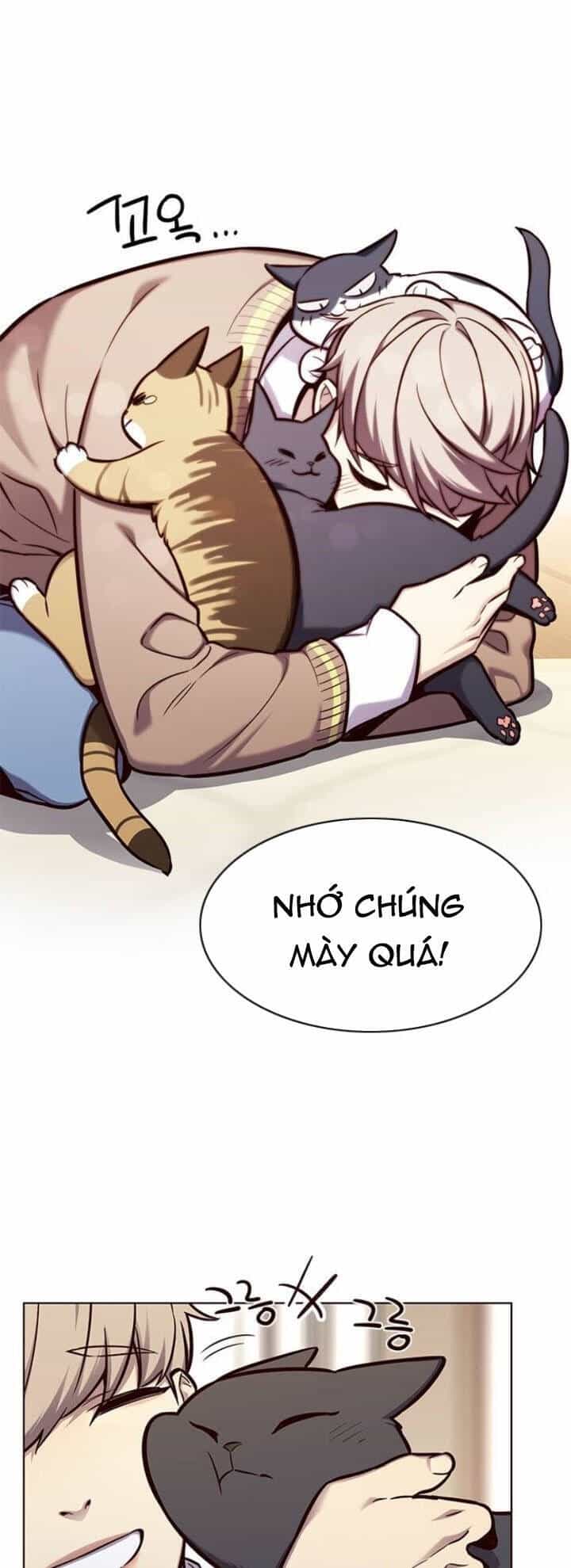 Hoá Thân Thành Mèo - Chương 143 - ảnh 13