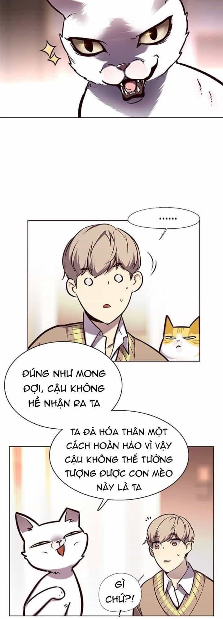 Hoá Thân Thành Mèo - Chương 143 - ảnh 20