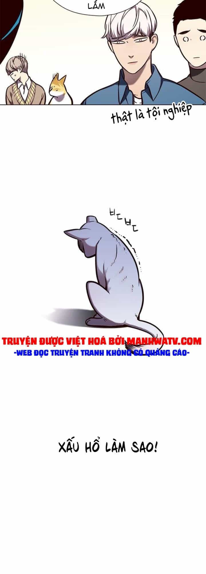 Hoá Thân Thành Mèo - Chương 143 - ảnh 45
