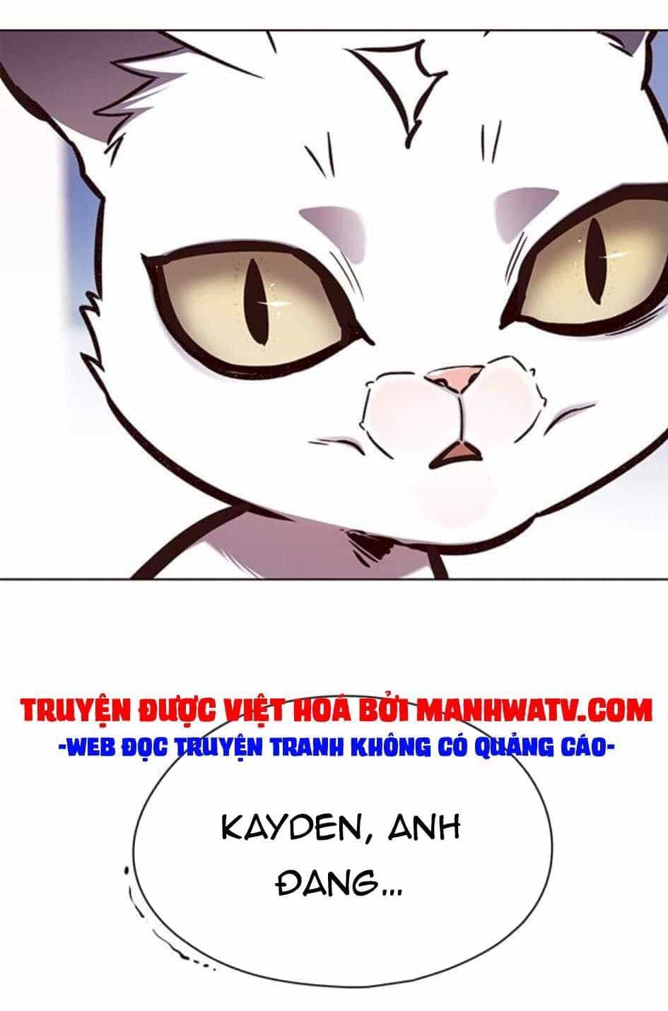Hoá Thân Thành Mèo - Chương 144 - ảnh 16