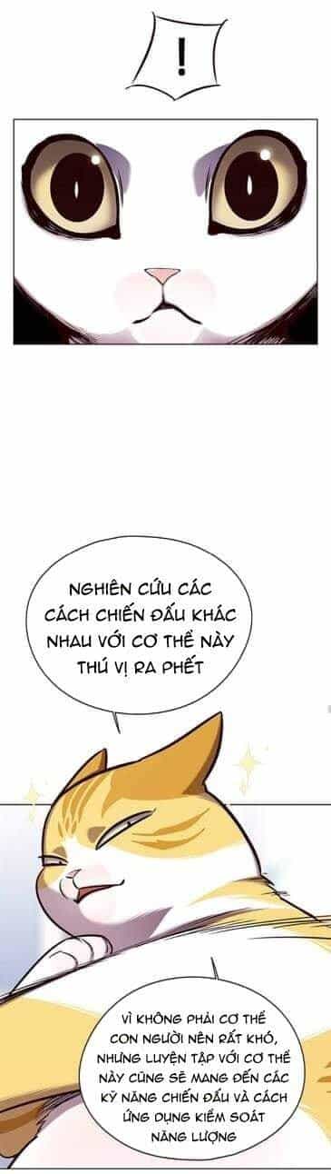 Hoá Thân Thành Mèo - Chương 144 - ảnh 18