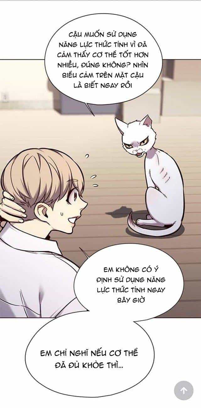 Hoá Thân Thành Mèo - Chương 144 - ảnh 8