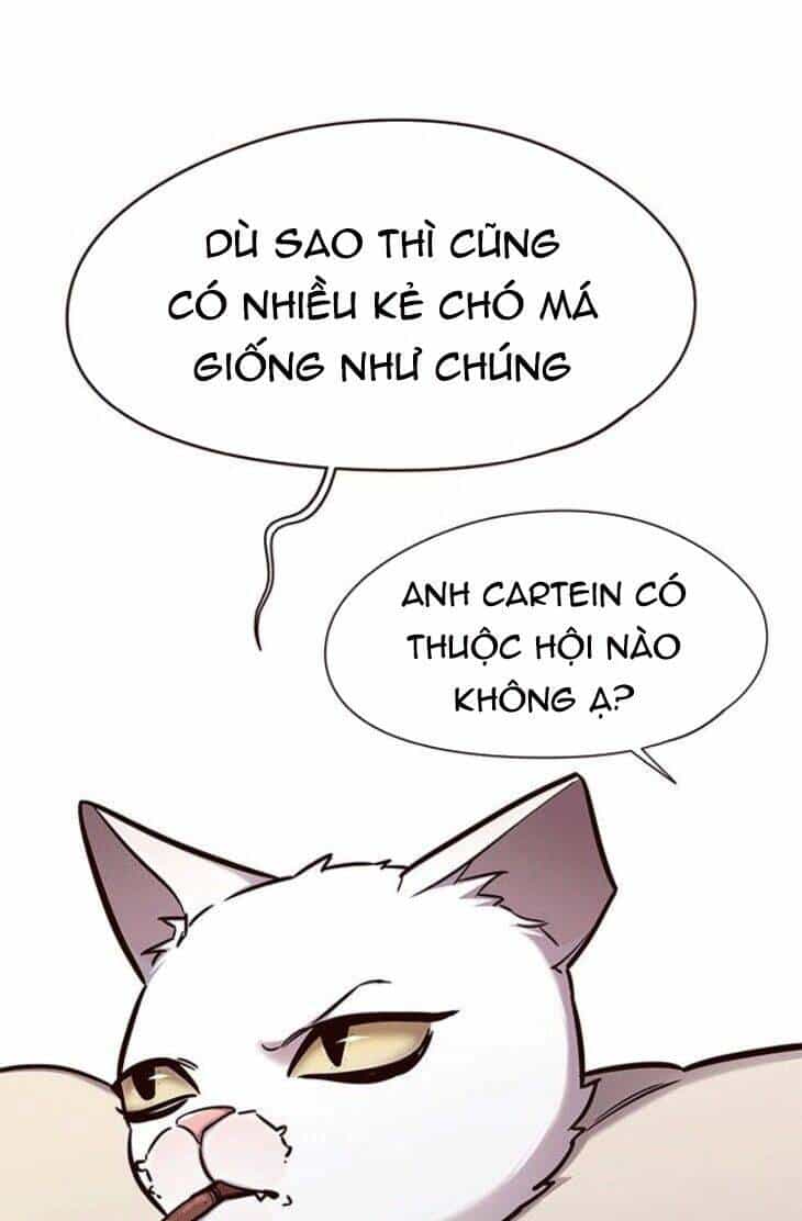 Hoá Thân Thành Mèo - Chương 148 - ảnh 5
