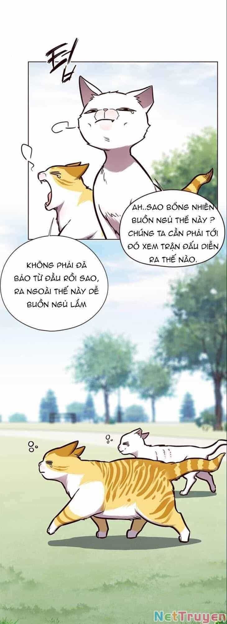 Hoá Thân Thành Mèo - Chương 150 - ảnh 2
