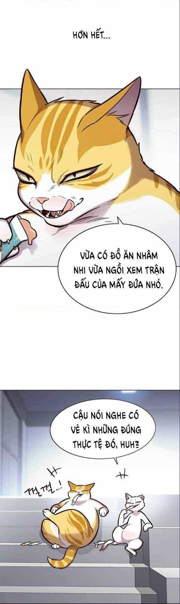 Hoá Thân Thành Mèo - Chương 153 - ảnh 3