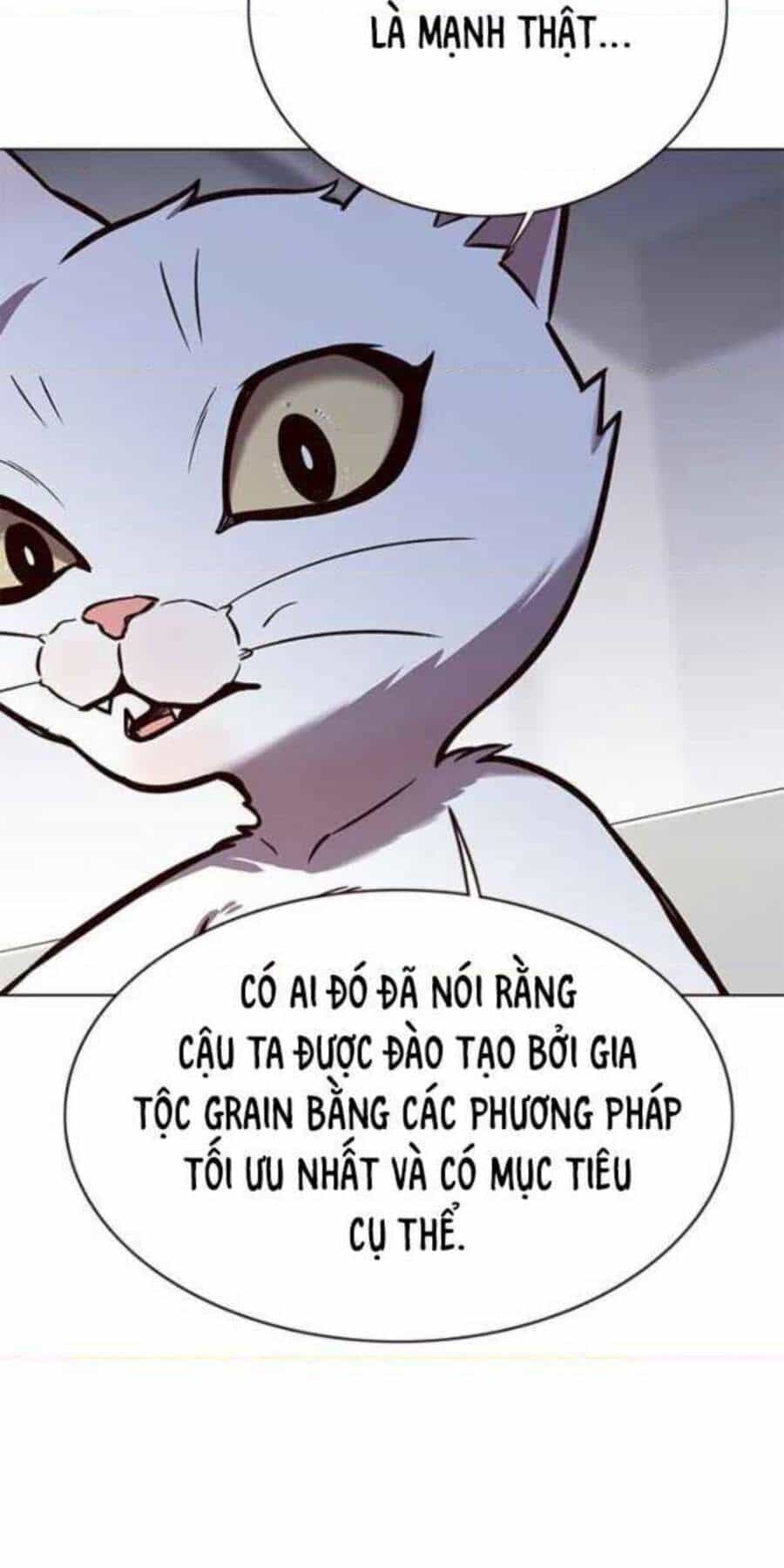 Hoá Thân Thành Mèo - Chương 154 - ảnh 37