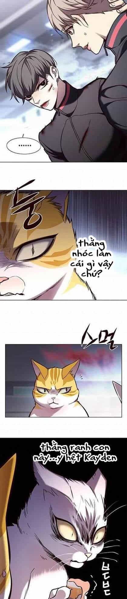 Hoá Thân Thành Mèo - Chương 155 - ảnh 5