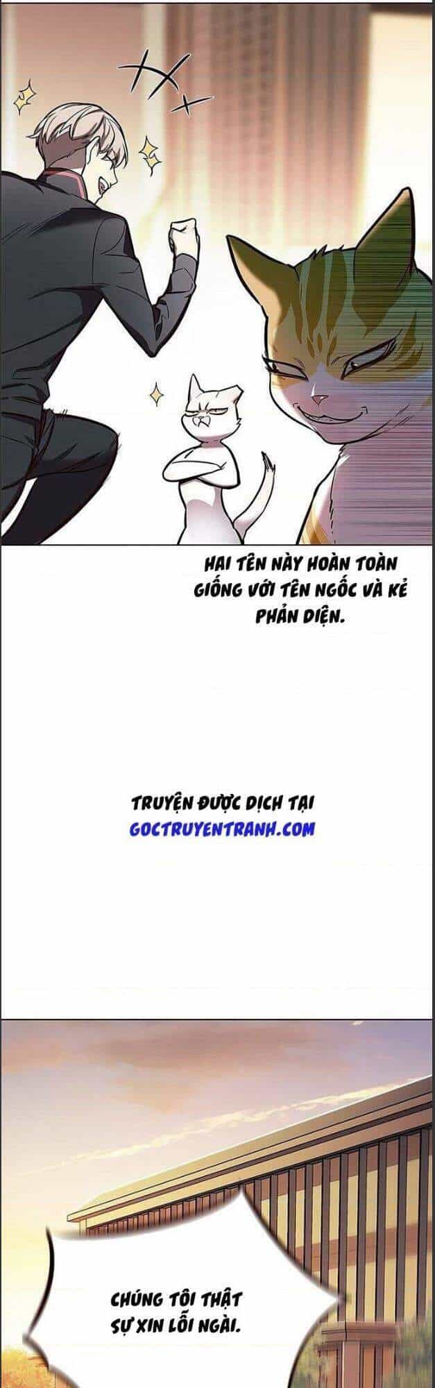 Hoá Thân Thành Mèo - Chương 156 - ảnh 21