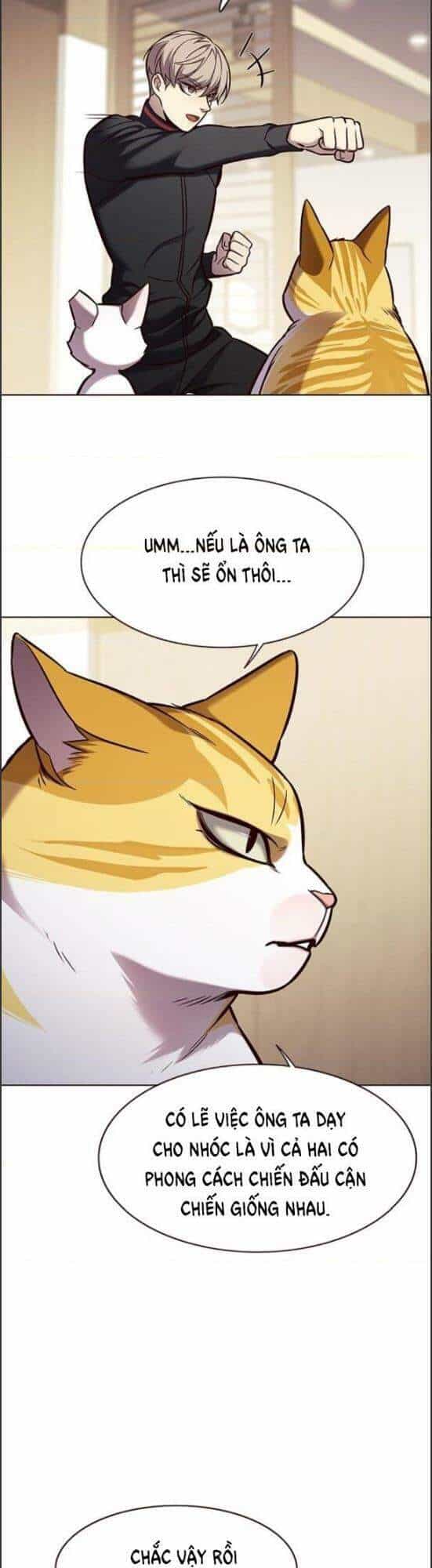 Hoá Thân Thành Mèo - Chương 157 - ảnh 28