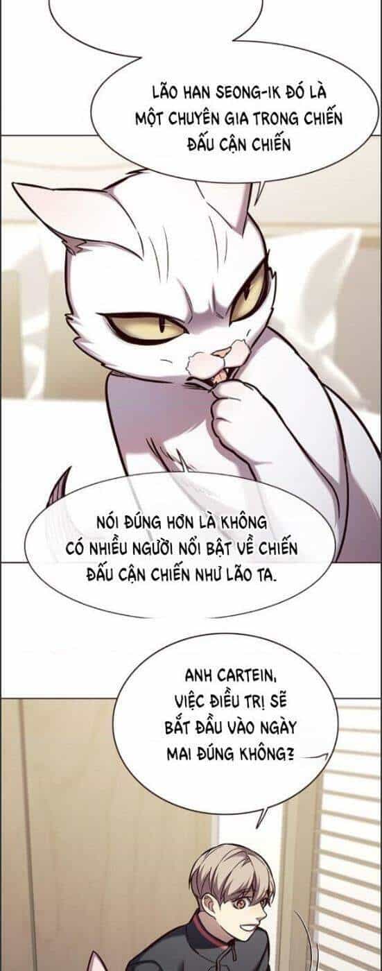 Hoá Thân Thành Mèo - Chương 157 - ảnh 29