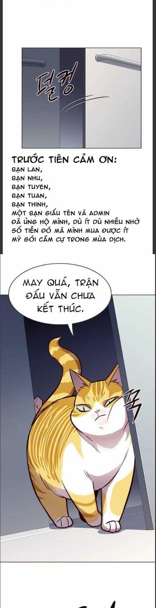 Hoá Thân Thành Mèo - Chương 159 - ảnh 1