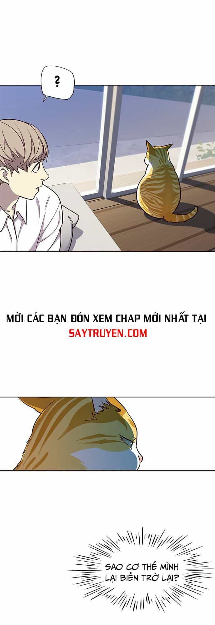 Hoá Thân Thành Mèo - Chương 16 - ảnh 10