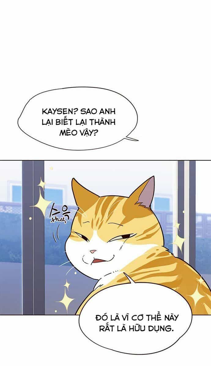 Hoá Thân Thành Mèo - Chương 16 - ảnh 18