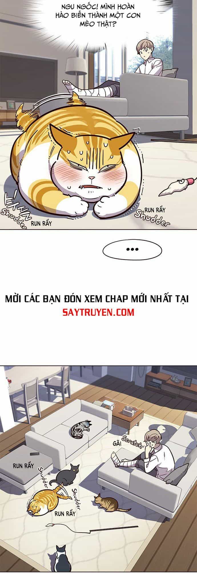Hoá Thân Thành Mèo - Chương 16 - ảnh 24