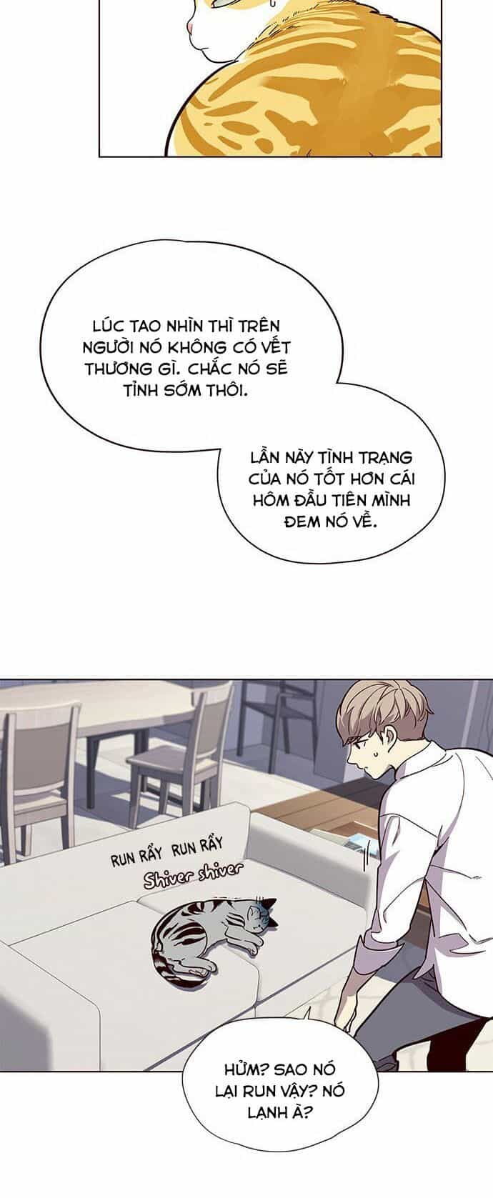 Hoá Thân Thành Mèo - Chương 16 - ảnh 26