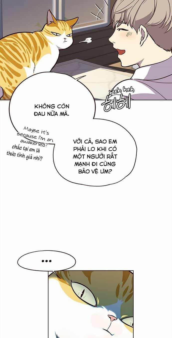 Hoá Thân Thành Mèo - Chương 16 - ảnh 30