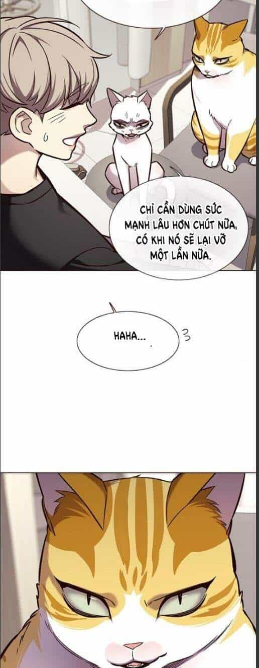 Hoá Thân Thành Mèo - Chương 160 - ảnh 15