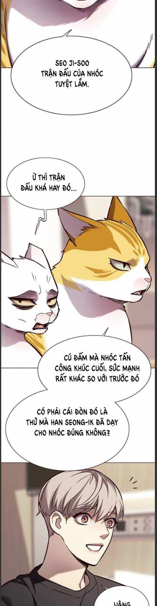 Hoá Thân Thành Mèo - Chương 160 - ảnh 16