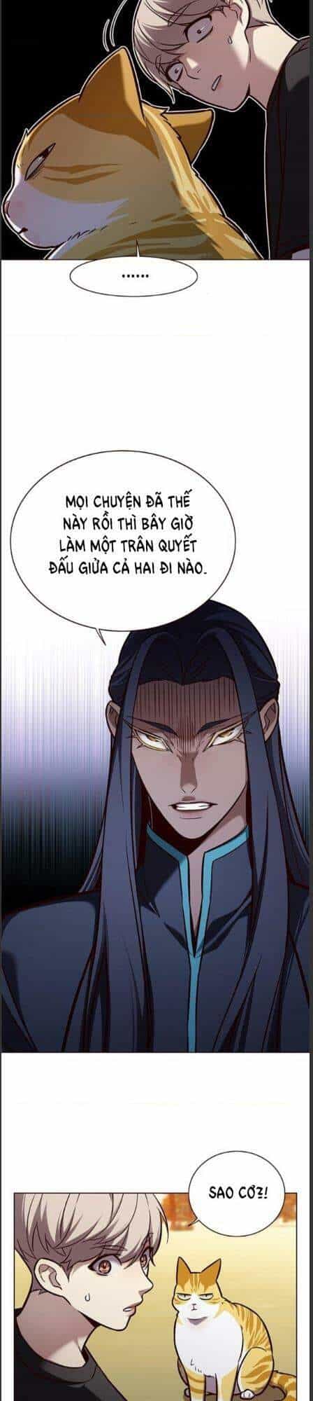 Hoá Thân Thành Mèo - Chương 162 - ảnh 12