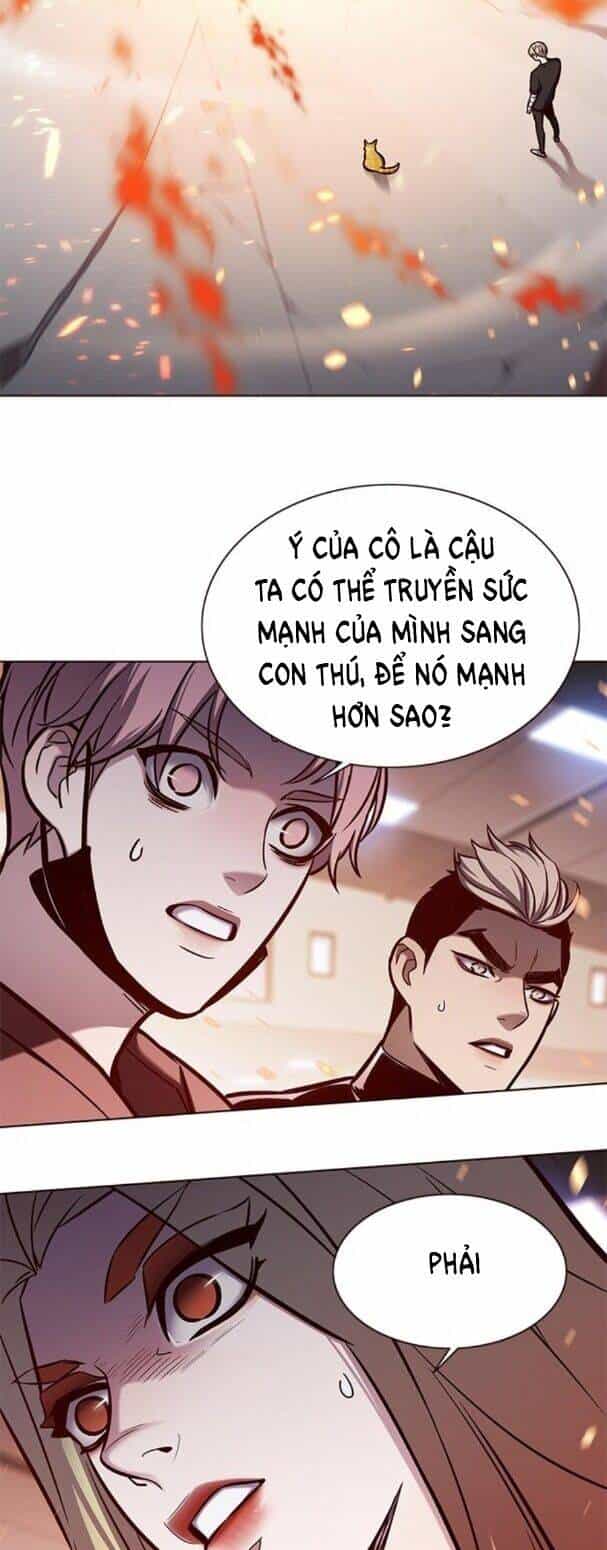 Hoá Thân Thành Mèo - Chương 163 - ảnh 4