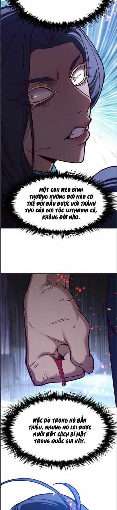 Hoá Thân Thành Mèo - Chương 164 - ảnh 34