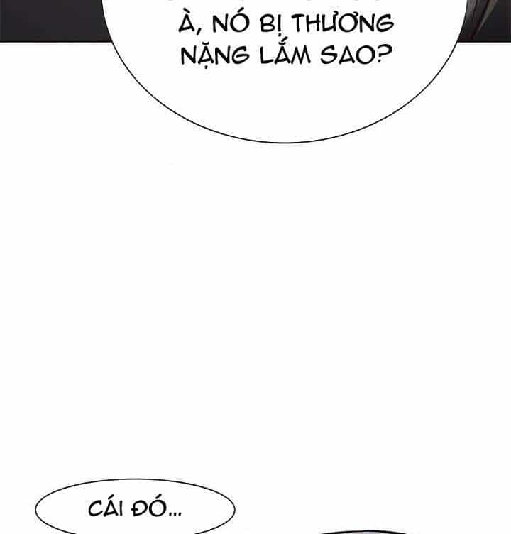Hoá Thân Thành Mèo - Chương 165 - ảnh 35