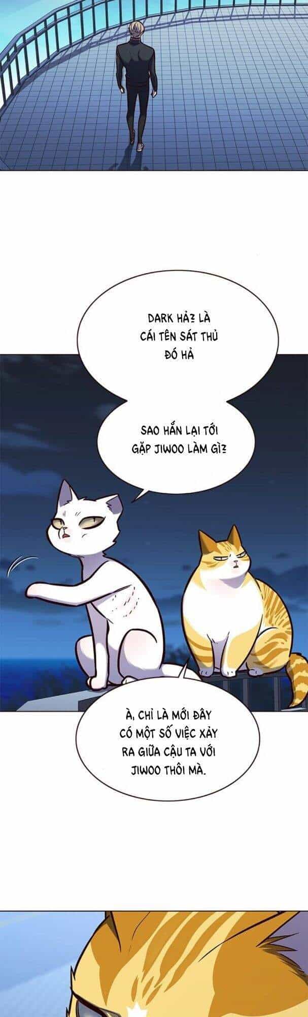 Hoá Thân Thành Mèo - Chương 169 - ảnh 34