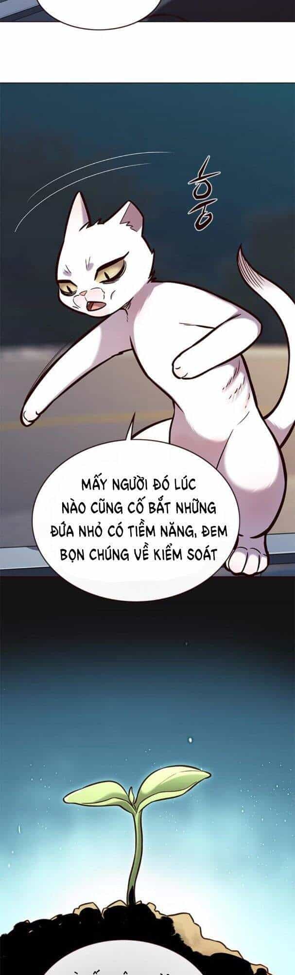 Hoá Thân Thành Mèo - Chương 169 - ảnh 43