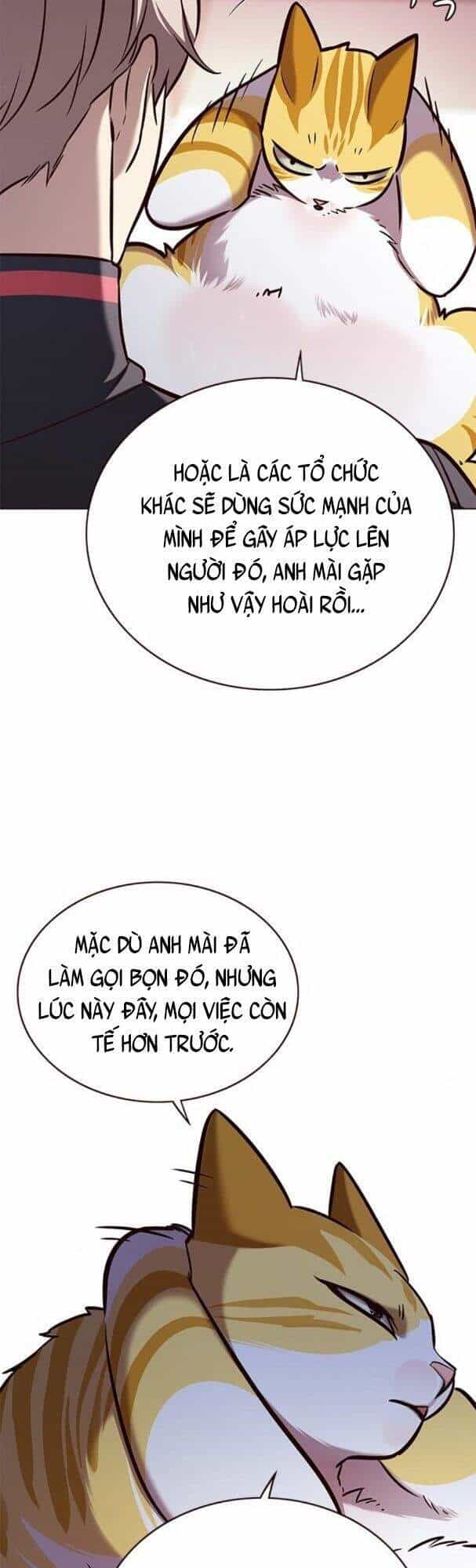 Hoá Thân Thành Mèo - Chương 170 - ảnh 53