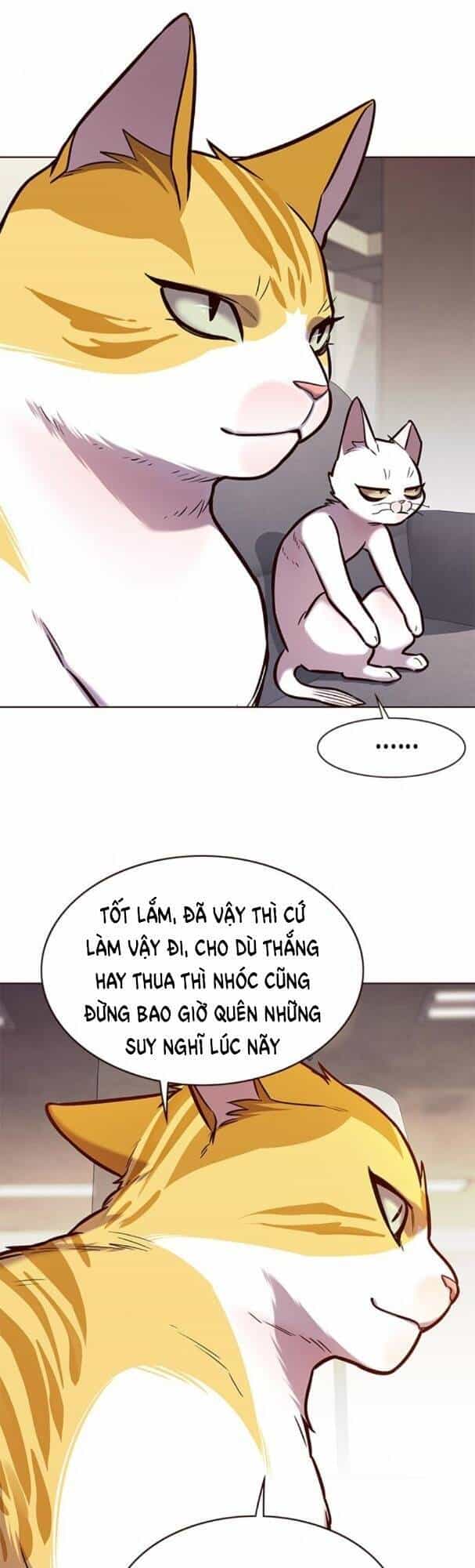 Hoá Thân Thành Mèo - Chương 173 - ảnh 26