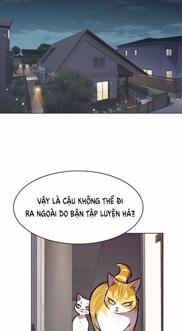 Hoá Thân Thành Mèo - Chương 173 - ảnh 35