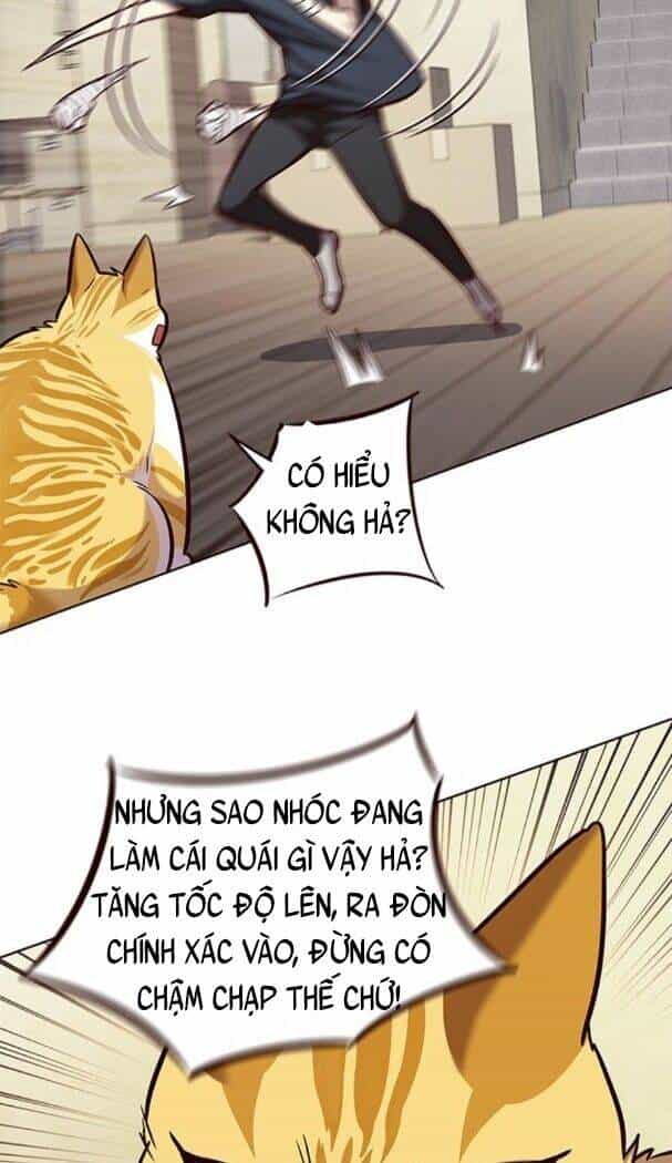 Hoá Thân Thành Mèo - Chương 174 - ảnh 34