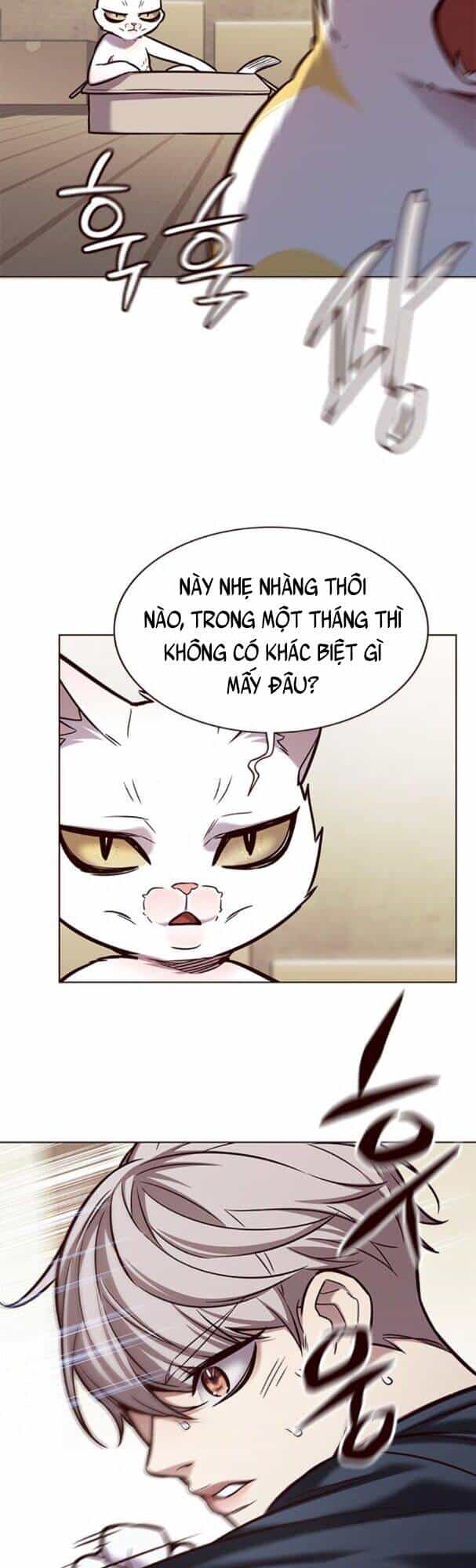 Hoá Thân Thành Mèo - Chương 174 - ảnh 36