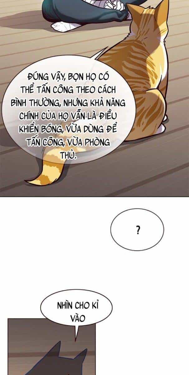 Hoá Thân Thành Mèo - Chương 174 - ảnh 43