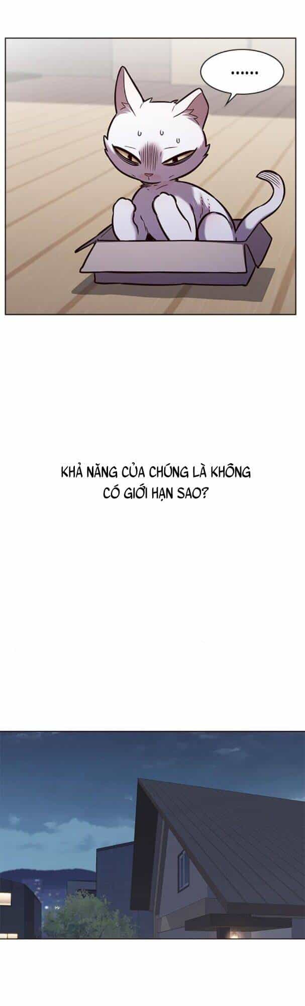 Hoá Thân Thành Mèo - Chương 174 - ảnh 54