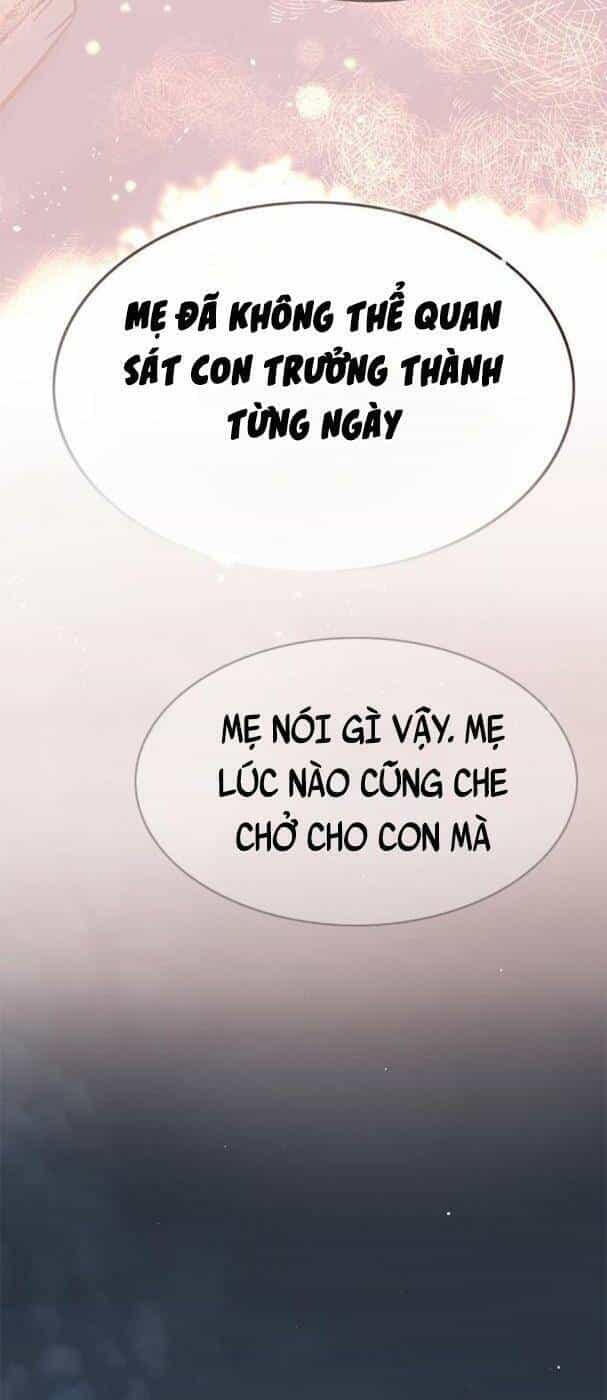 Hoá Thân Thành Mèo - Chương 178 - ảnh 50