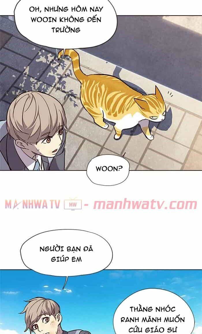 Hoá Thân Thành Mèo - Chương 18 - ảnh 68