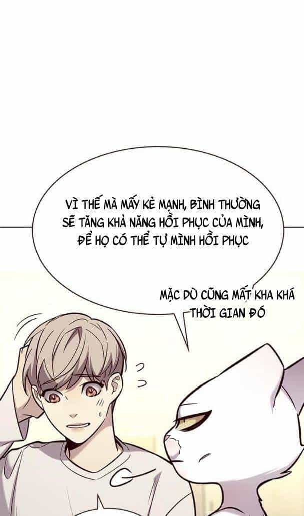 Hoá Thân Thành Mèo - Chương 180 - ảnh 12