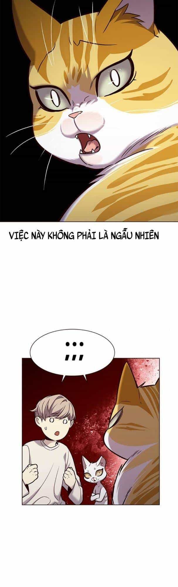 Hoá Thân Thành Mèo - Chương 180 - ảnh 37