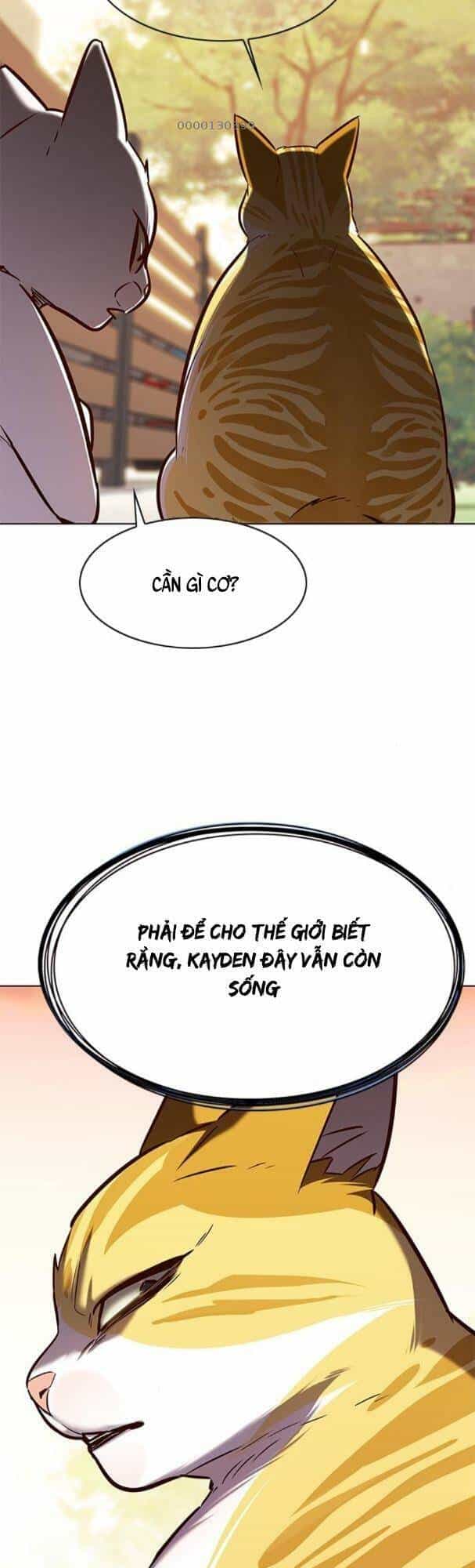 Hoá Thân Thành Mèo - Chương 181 - ảnh 56