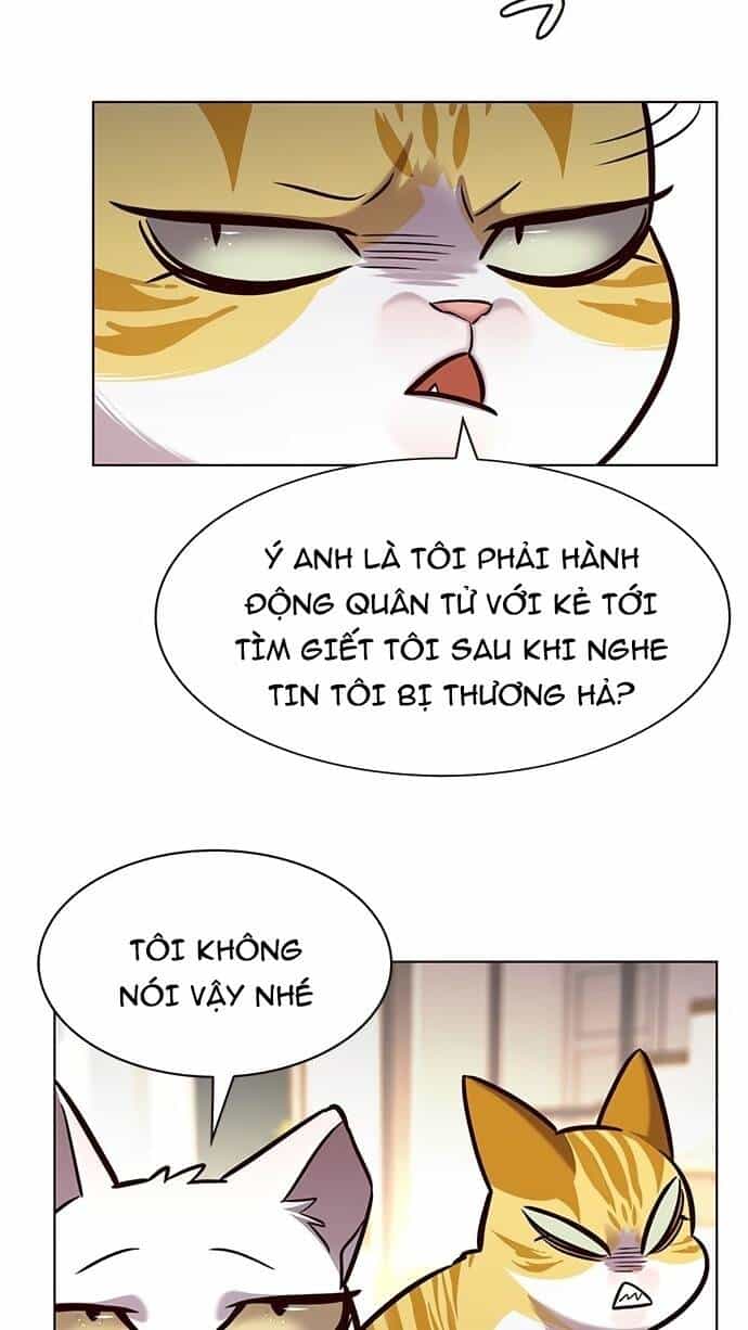Hoá Thân Thành Mèo - Chương 186 - ảnh 24