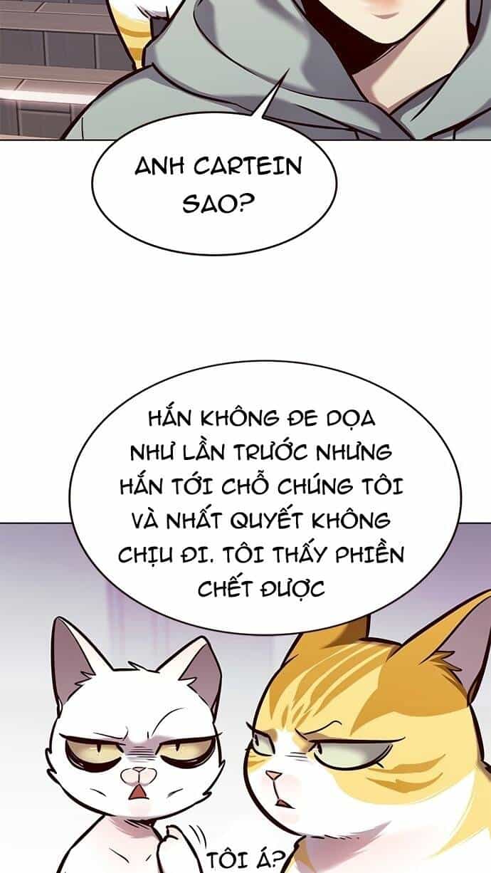 Hoá Thân Thành Mèo - Chương 186 - ảnh 31
