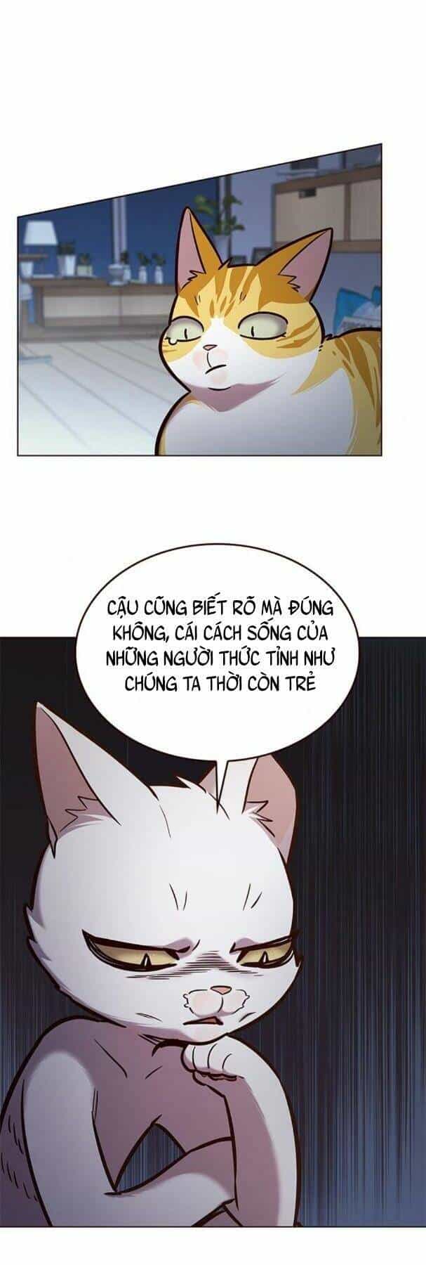 Hoá Thân Thành Mèo - Chương 190 - ảnh 22