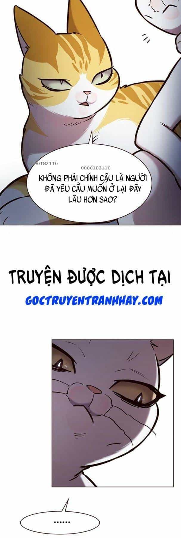Hoá Thân Thành Mèo - Chương 190 - ảnh 27
