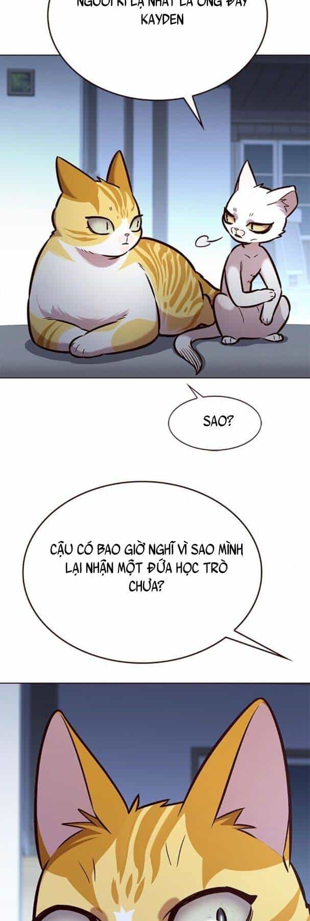 Hoá Thân Thành Mèo - Chương 190 - ảnh 29