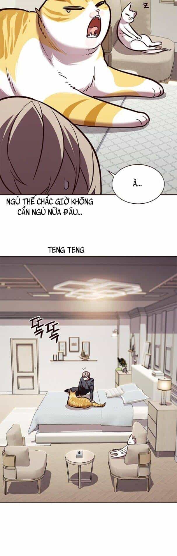 Hoá Thân Thành Mèo - Chương 195 - ảnh 46