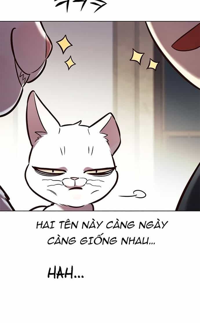 Hoá Thân Thành Mèo - Chương 197 - ảnh 40
