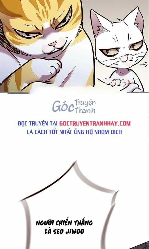 Hoá Thân Thành Mèo - Chương 198 - ảnh 89